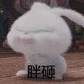 李249439934头像