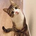 e新生儿头像