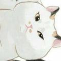 大宝子80头像