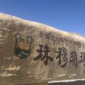凯轩雯头像