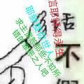 ZHU朱珠头像