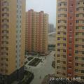 陈红52846头像