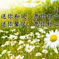 一生平安49427头像