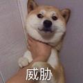 Violin908头像