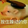 wwcd269头像