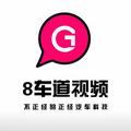 8车道视频头像