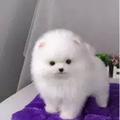 Lyx601头像
