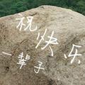心信殃头像