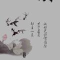 不慕芳华头像