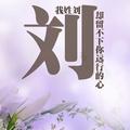 为爱痴狂503头像