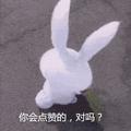 浅忆微凉头像
