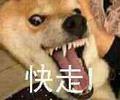 望海心633头像