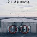 (づ￣3￣)づ 我为森么辣么萌~头像