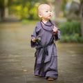 小龙子头像