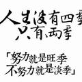 摆地摊卖回忆208头像