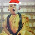 Sun Lau头像