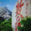 山之南801头像