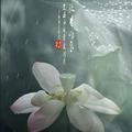 逍遥一江水头像