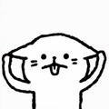 爱吃狗粮的猫998头像