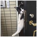 路过蜻蜓头像