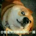 卓洛247头像