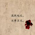 辉舞飞扬头像