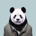 Mr.panda头像