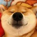 Aaaa啊AA头像