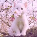 用户269009950头像