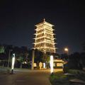 何  东头像