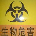 疯狗MRDOG头像