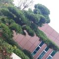 A金竹居士李明军头像