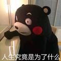 Mr.Rock_Y头像