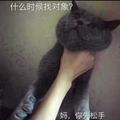 面向jinrui头像