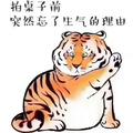 蔷薇的盛夏头像