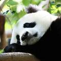 陈仲涛头像