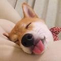 绿帽派送员头像