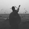 浮生若梦头像