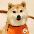 小白头像