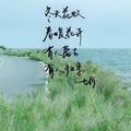 未来，未我而来头像