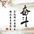 狼行天下头像