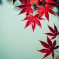 暗夜 默头像