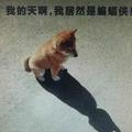 河马头像