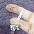 剪刀手桂德华头像