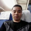 游龙戏凤815头像