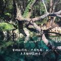 南风知我弈头像