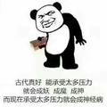 袤韧头像