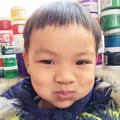 龙龙6281头像