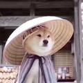 huazichen头像