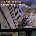 智愚者见山渊头像